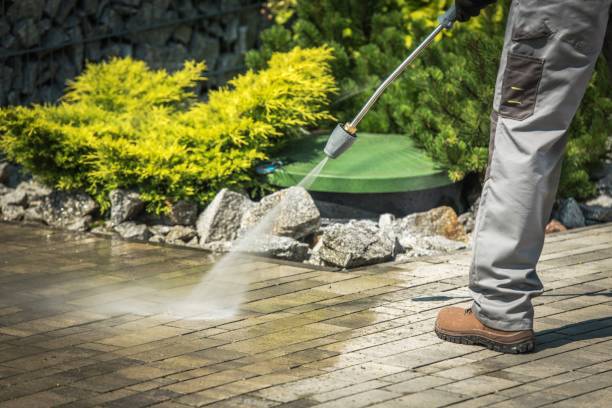 Best Sidewalk and Walkway Cleaning  in Mesquite, NV